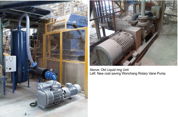 Rotary vane pumps